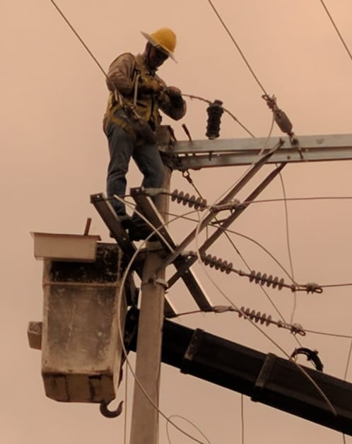 Transnacional Eléctrica SA de CV