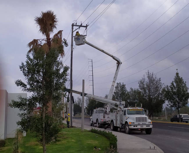 Transnacional Electríca S.A. de C.V.